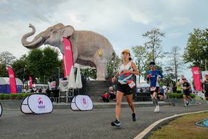 BIB: 
                            <button type="button" onclick="openModal(26528798)" class="btn btn-primary btn-sm float-right btn-popup" data-toggle="modal" data-target=".modal-high-quality">
                        <i class="fas fa-shopping-cart"></i> Add to Cart
                    </button>
                                            <button type="button" onclick="isThisMe(26528798, true)" class="btn btn-success btn-sm float-right btn-popup btn-isme hidden" data-toggle="tooltip" data-placement="bottom" title="นี่คือรูปของคุณใช่ไหม คลิกที่นี่เพื่อเอาเข้าอัลบั้ม">
                        <i class="fas fa-plus"></i> Add to album
                    </button>
                    <button type="button" onclick="isThisMe(26528798, false)" class="btn btn-warning btn-sm float-right btn-popup btn-isnotme hidden">
                        <i class="fas fa-ban"></i> Remove from album
                    </button>